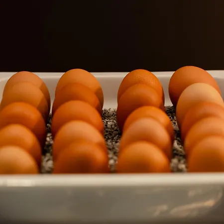 Intercityhotel 4* Graz