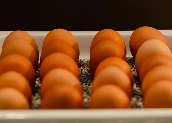 Intercityhotel 4* Грац